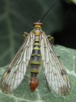 /album/fotogallerij/a2012-07-31-14-56-09-0032-jpg/